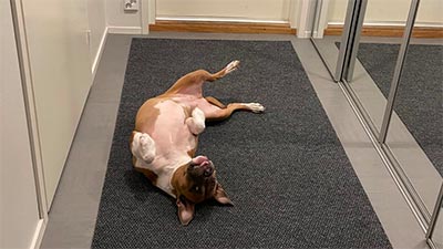 Kuramatot - Termomatto.fi