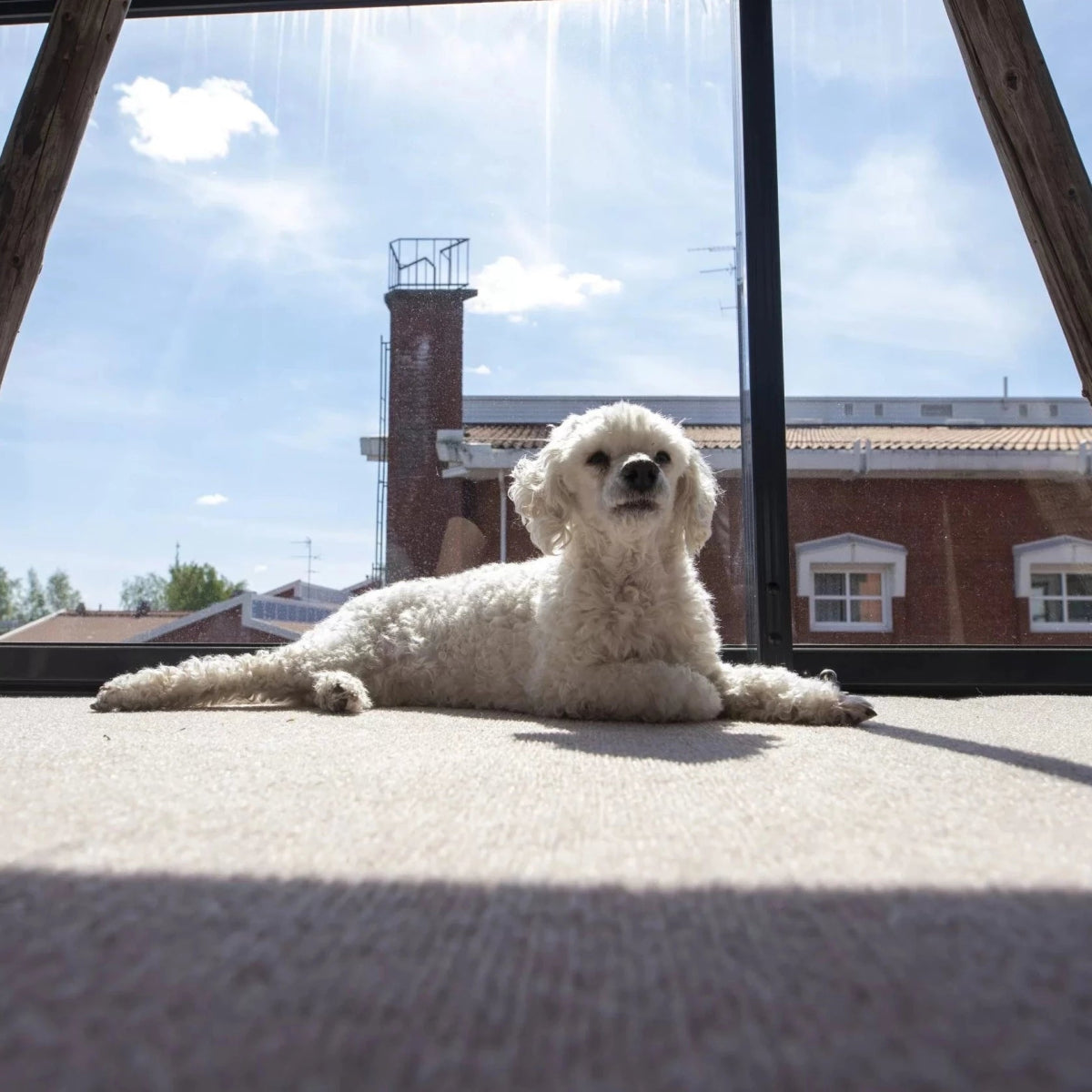 Myös lemmikit viihtyvät lämpimällä Dry Step parveke- ja terassimatolla.