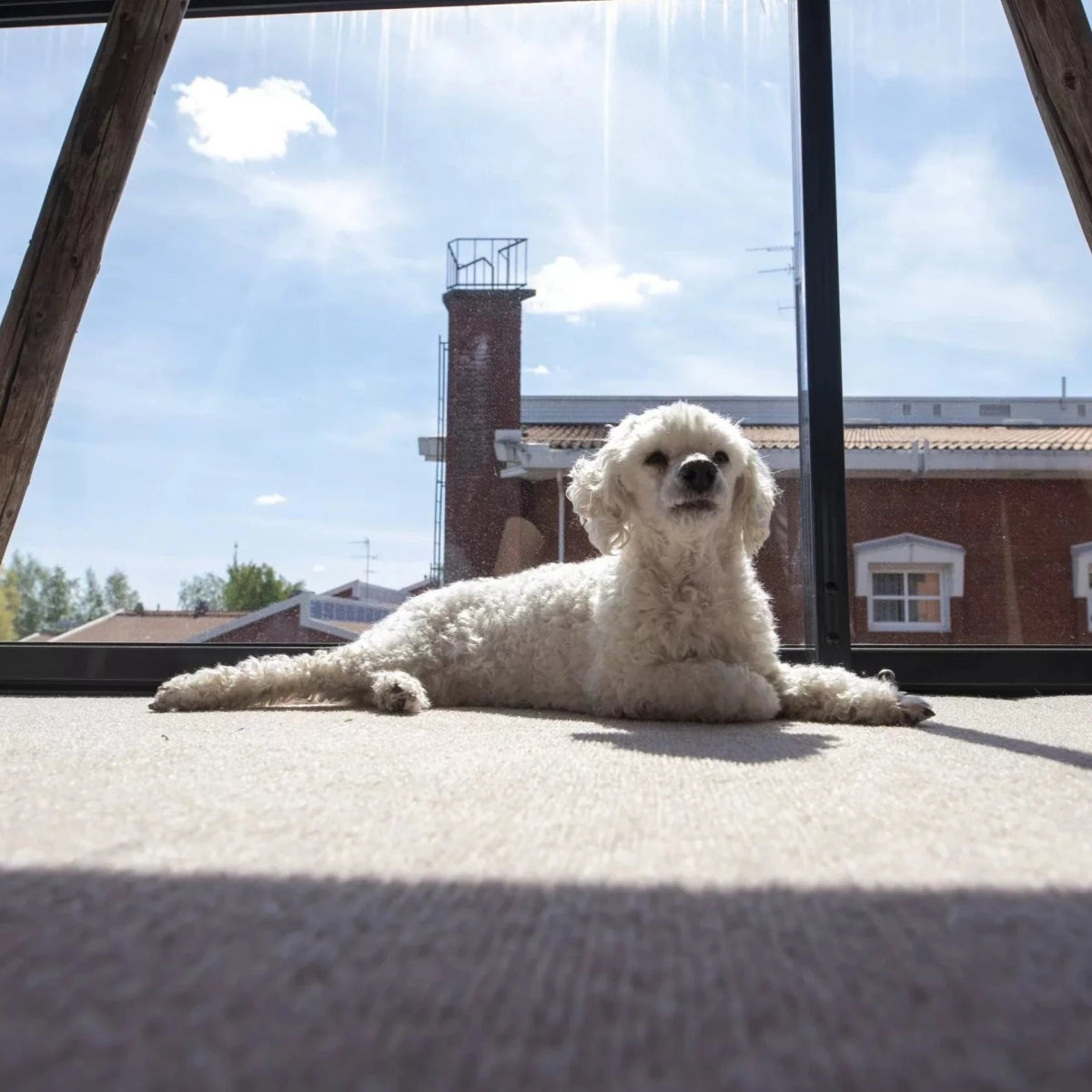 Myös lemmikit viihtyvät lämpimällä Dry Step parveke- ja terassimatolla.