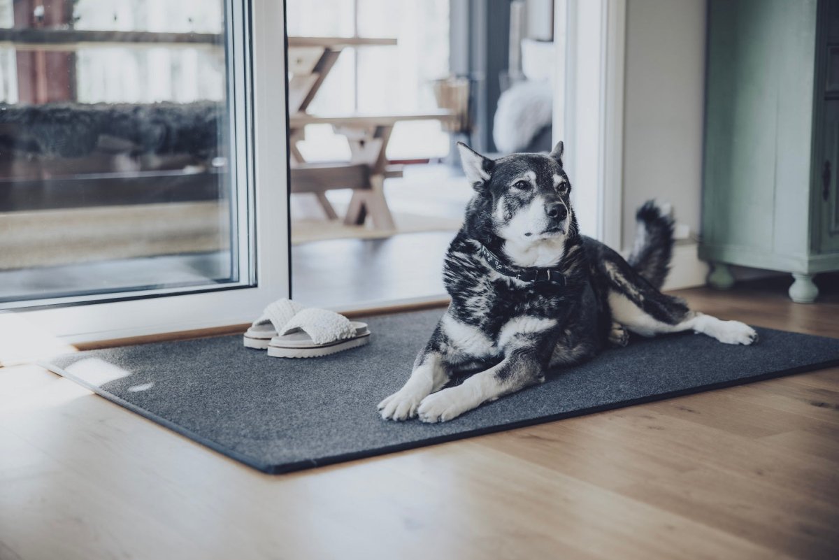 Suomalainen termomatto on laadukas eteisen matto, jonka päällä myös lemmikit viihtyvät.