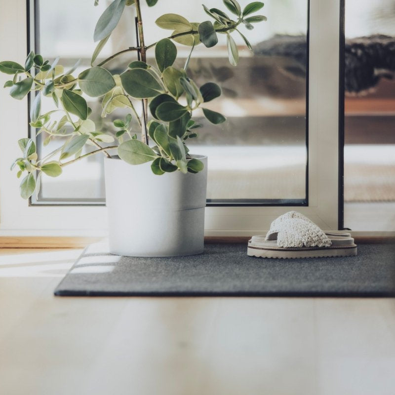 Eteisen matto valoisassa tilassa.