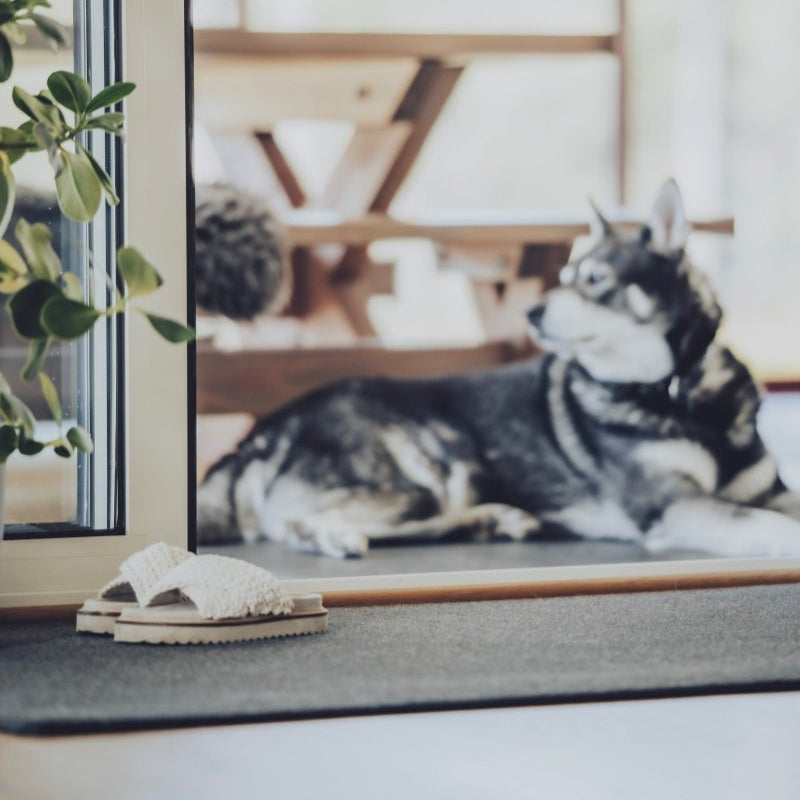 Suomalainen termomatto on laadukas eteisen matto, jonka päällä myös lemmikit viihtyvät.